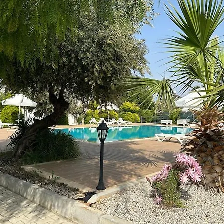 Apartamento / Zeytinlik 2+1 Havuzlu Manzarali Daire