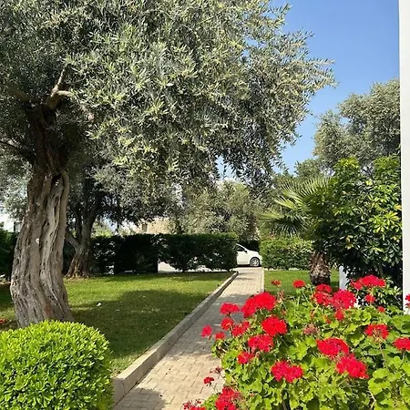 / Zeytinlik 2+1 Havuzlu Manzarali Daire Daire